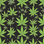 black background, bright green, lime green, marijuana leaves, cannabis pattern, botanical design, allover repeat,, fabric panel, 420 theme, hemp leaves, scattered motif, contemporary style, recreational theme, adult novelty, craft fabric, sewing material, modern print, leaf silhouettes, geometric arrangement