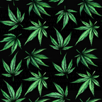 cannabis leaves, marijuana leaves, botanical pattern, green leaves, black background, emerald green, forest green, repeating pattern,, fabric panel, realistic leaves, serrated edges, nature motif, scattered design, leaf pattern, botanical print, cannabis motif, detailed foliage, dark contrast, contemporary design