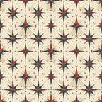 Classic Compass Rose Pattern 3 Minky Fabric