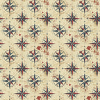 Classic Compass Rose Pattern 9 Minky Fabric