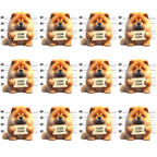 chow chow dogs, mugshot lineup, police lineup, orange fur, tan colors, cream tones, measuring scale, height chart, repeated pattern,, fabric panel, cute dogs, fluffy dogs, prison mugshot, law enforcement theme, playful design, dog breeds, animal fabric, cotton material, novelty print