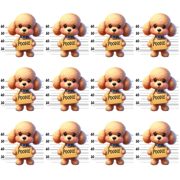 poodle, mugshot, police lineup, height chart, cream colored, apricot fur, curly hair, cartoon style, cute dogs,, fabric panel, playful design, repeated pattern, pet themed, whimsical, craft fabric, sewing material, dog breeds, novelty print, measurement background