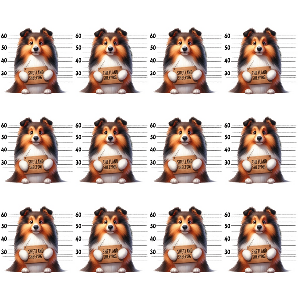 shetland sheepdog, mugshot lineup, police lineup, orange fur, white chest, black markings, brown eyes, measuring tape, height chart, repeating pattern,, fabric panel, dog breeds, playful design, humorous theme, cartoon style, pet motif, novelty print, crafting material, sewing fabric