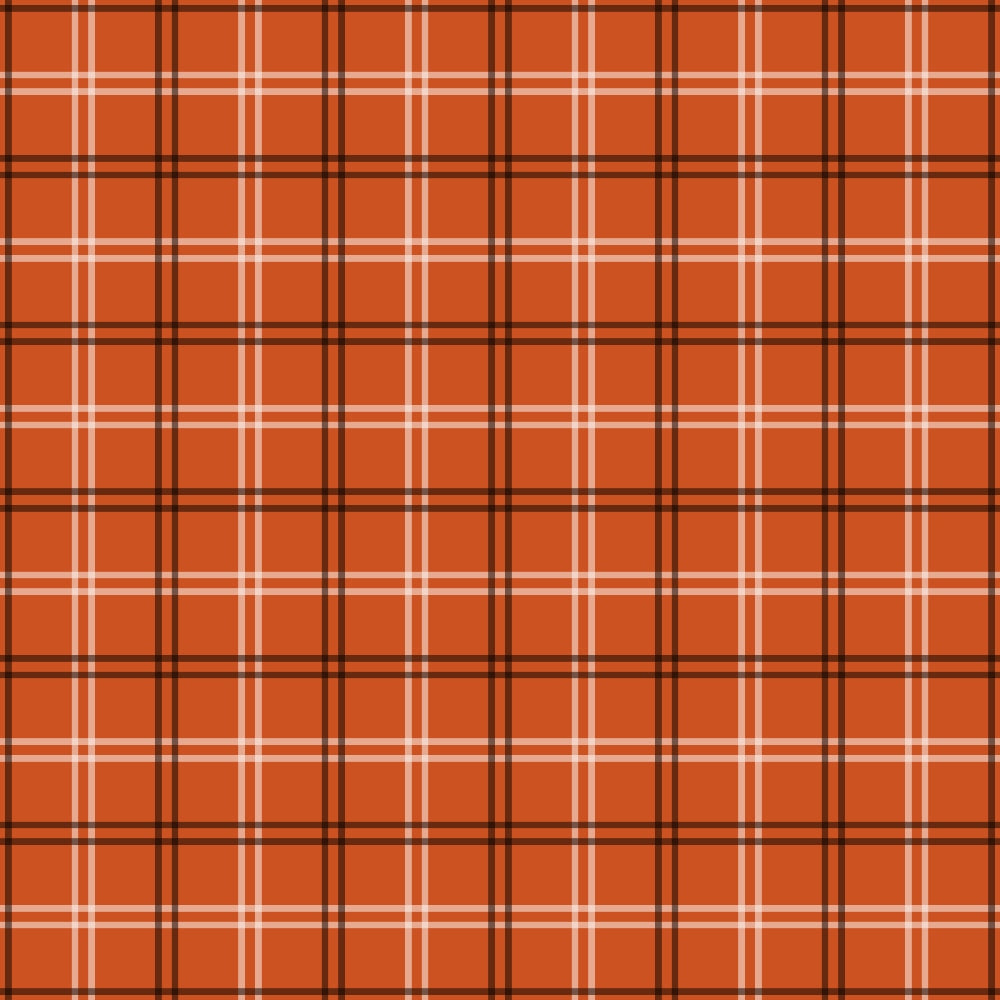 orange plaid, fall colors, autumn pattern, burnt orange, rust orange, dark brown lines, white stripes, geometric pattern, tartan design, crosshatch lines,, fabric panel, seasonal fabric, plaid weave, intersecting lines, warm colors, rustic pattern, country style, checkered design