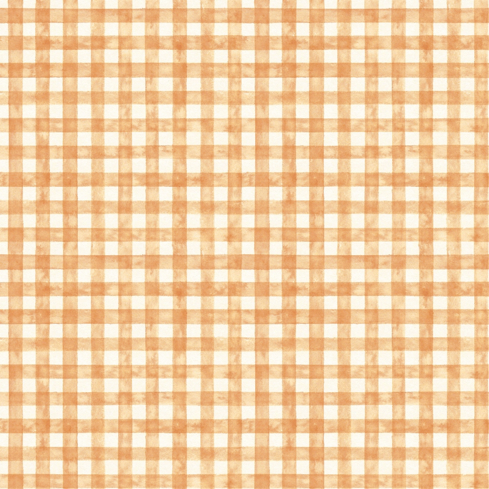 orange gingham, peach checkered, coral plaid, white squares, geometric pattern, vintage style, retro fabric,, fabric panel, spring colors, easter themed, cottage core, gingham weave, checkered design, warm tones, craft fabric, patchwork material, nostalgic mood, soft texture