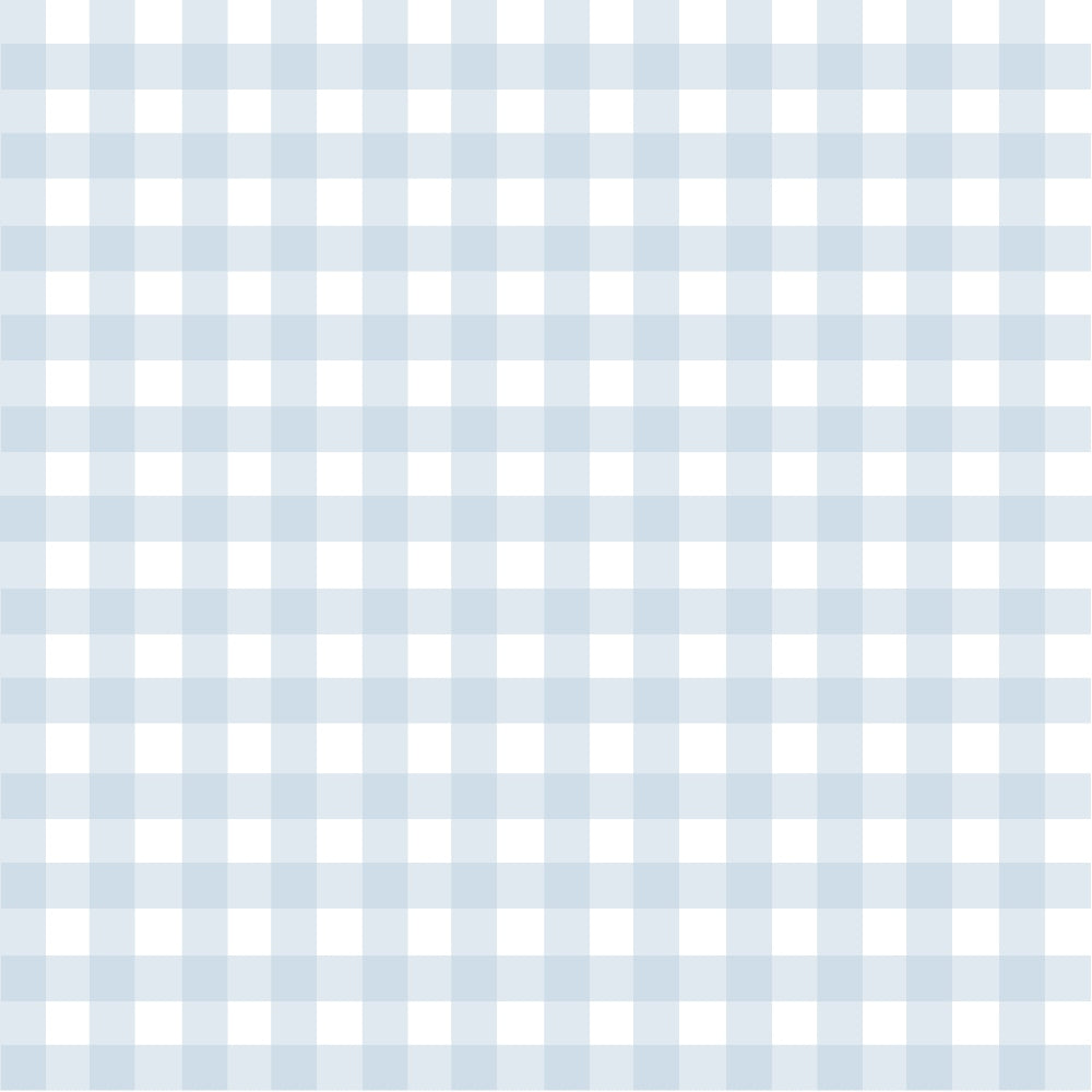 light blue, white, gingham, checkered pattern,, fabric panel, pastel blue, geometric design, checker squares, soft colors, crafting material, sewing fabric, alternating squares, grid pattern, cotton fabric, blue and white, regular pattern, textile, quilting material, woven appearance