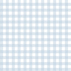 light blue, white, gingham, checkered pattern,, fabric panel, pastel blue, geometric design, checker squares, soft colors, crafting material, sewing fabric, alternating squares, grid pattern, cotton fabric, blue and white, regular pattern, textile, quilting material, woven appearance