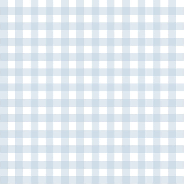 light blue, white, gingham, checkered pattern,, fabric panel, pastel blue, geometric design, checker squares, soft colors, crafting material, sewing fabric, alternating squares, grid pattern, cotton fabric, blue and white, regular pattern, textile, quilting material, woven appearance