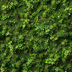 Japanese Zen Garden Pattern 2 Minky Fabric