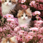 kittens, cats, pink flowers, wildflowers, cosmos flowers, daisy-like blooms, floral pattern, adorable animals, spring theme, pastel pink, white fur, orange tabby, calico markings, green eyes,, fabric panel, cute design, garden scene, nature motif, soft colors