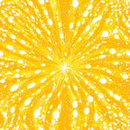Lemon Burst Pattern 18 Minky Fabric