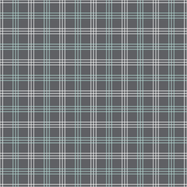 A plaid pattern with dark gray, white, and light blue stripes forming a grid.