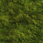 Moss Textures Pattern 11 Minky Fabric