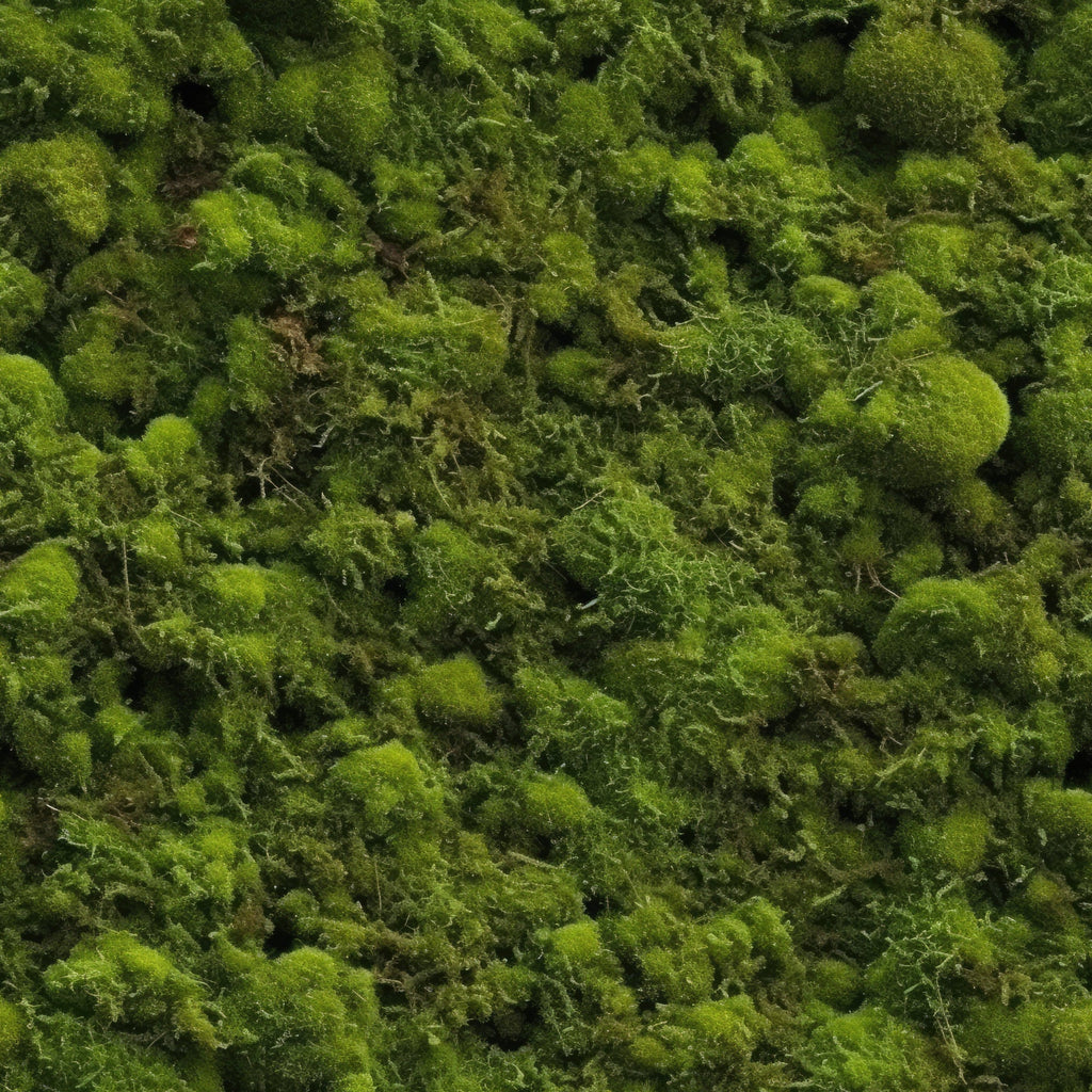 Moss Textures Pattern 12 Minky Fabric