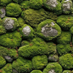 Moss Textures Pattern 7 Minky Fabric