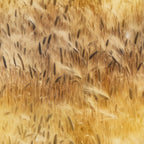 Nature Texture Pattern 15 Minky Fabric