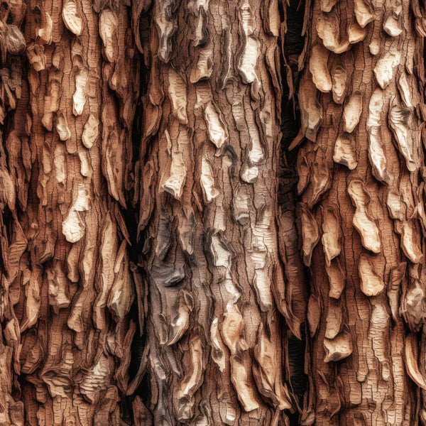 Nature Texture Pattern 8 minky fabric with warm brown layered wood grain and bark ridges