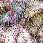 Abstract image with wavy, multicolored patterns in shades of pink, green, and yellow, featuring dark lines outlining irregular shapes.