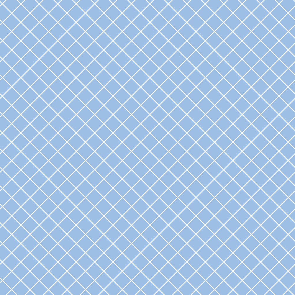 A blue background with a white diagonal grid pattern.