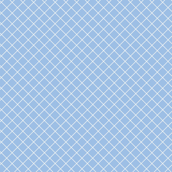 A blue background with a white diagonal grid pattern.