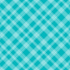 Teal plaid pattern with intersecting white lines forming a crisscross design.