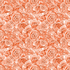 Seamless pattern of detailed, monochrome, peach-colored roses densely covering the entire image.