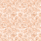 A seamless pattern of beige roses with detailed petals, creating a floral texture background.