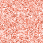 Seamless pattern of densely packed pink roses with detailed petals, creating a textured floral background.