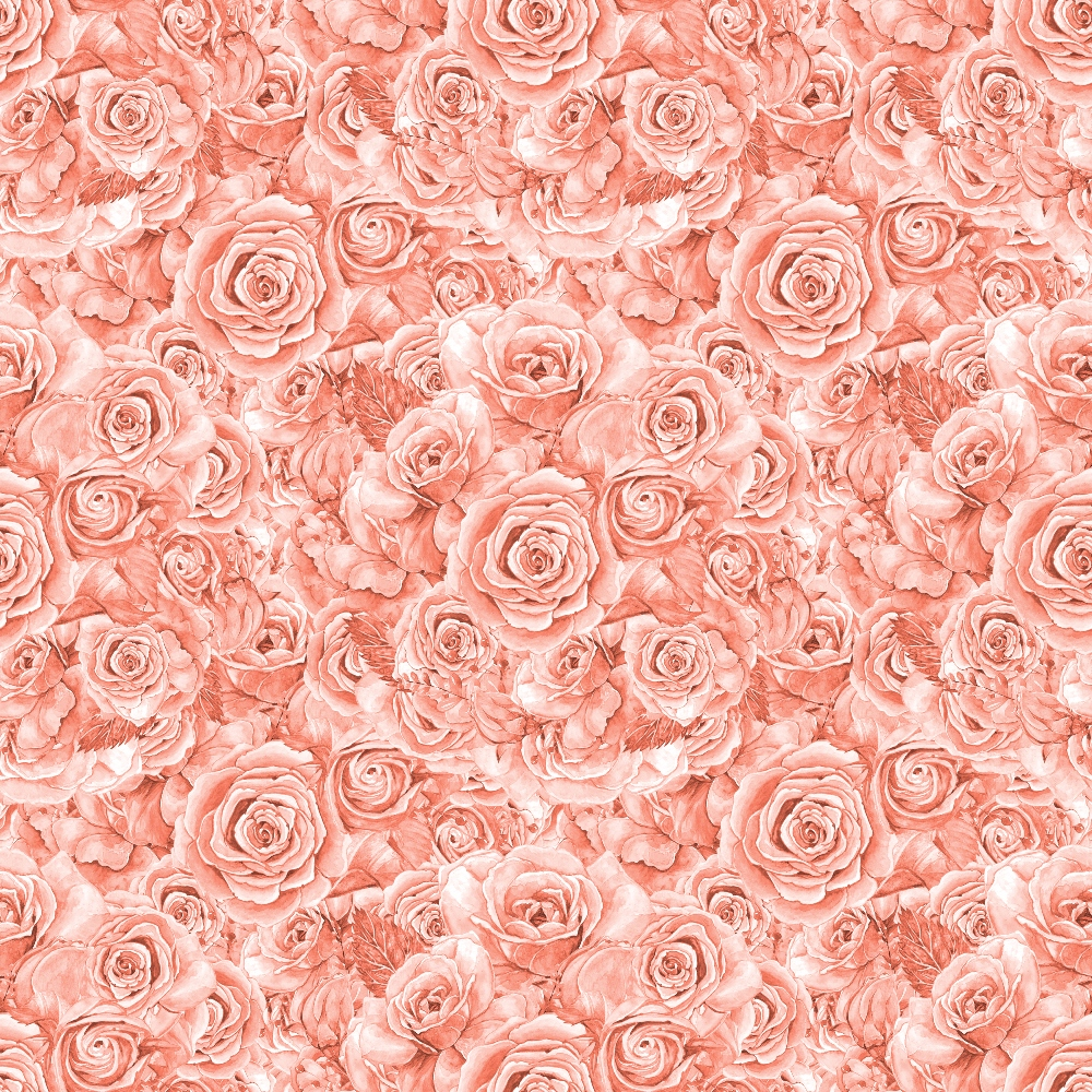 Seamless pattern of densely packed pink roses with detailed petals, creating a textured floral background.