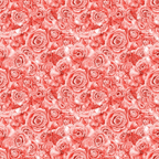 Pattern of densely packed pink roses creating a seamless, repetitive floral background.
