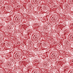 A pattern of closely packed red roses with detailed petals, forming a seamless floral background.