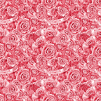 Seamless pattern of densely packed pink roses with intricate details, creating a lush floral design.