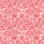 A seamless pattern of pink roses in full bloom, densely arranged with detailed petals, creating a decorative floral background.