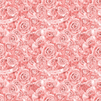 A seamless pattern of pink roses densely arranged, forming an intricate floral design.