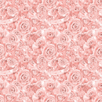 A seamless pattern of pink roses in full bloom, densely arranged, creating a floral tapestry.