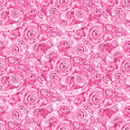 A seamless pattern of dense pink roses with detailed petals, creating a vibrant, floral tapestry effect.