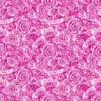 Seamless pattern of closely packed pink roses with detailed petals.