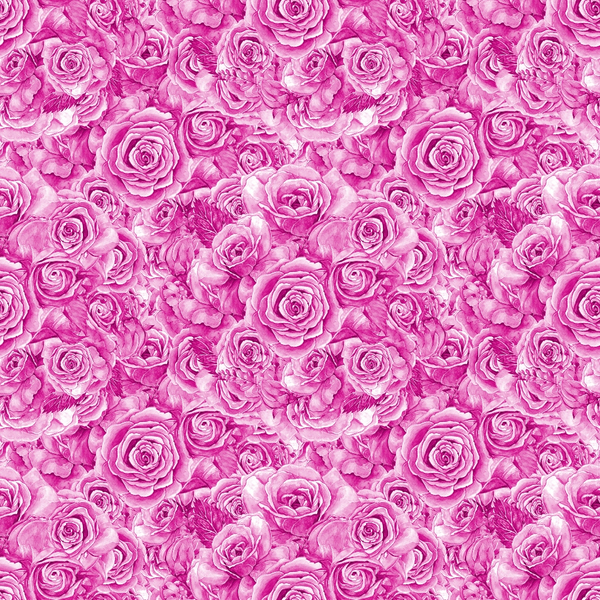 Seamless pattern of closely packed pink roses with detailed petals.