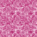 Pattern of pink roses densely packed together, creating a decorative floral design.