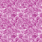 A densely packed pattern of pink roses, filling the entire image, with various shades and details of petals visible.