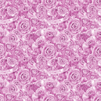 Pattern of closely packed pink roses with detailed petals, creating a seamless, intricate floral design.