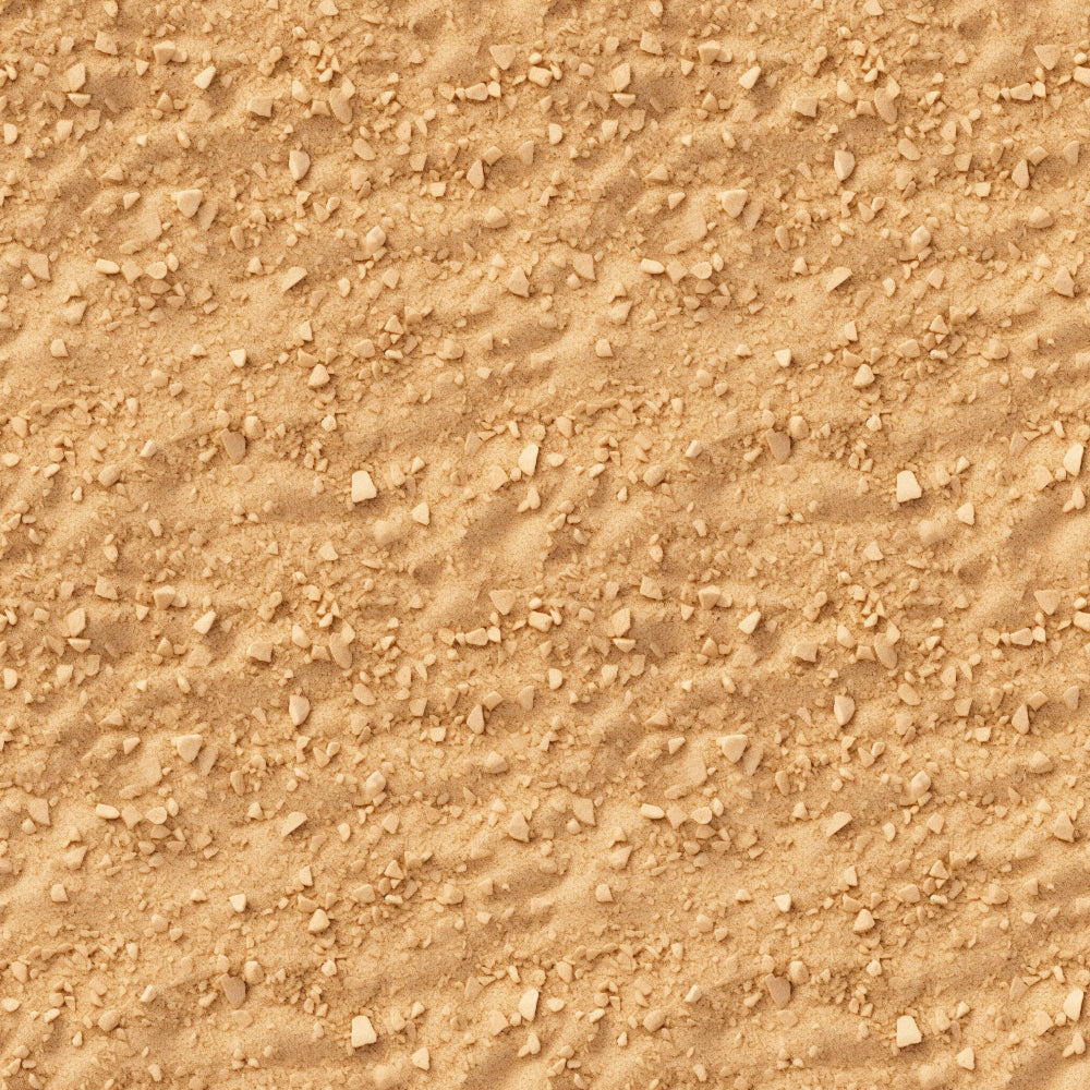 A close-up view of textured sandy ground with small rocks scattered across the surface.