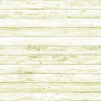 A light green wooden plank surface with horizontal lines and a weathered texture.