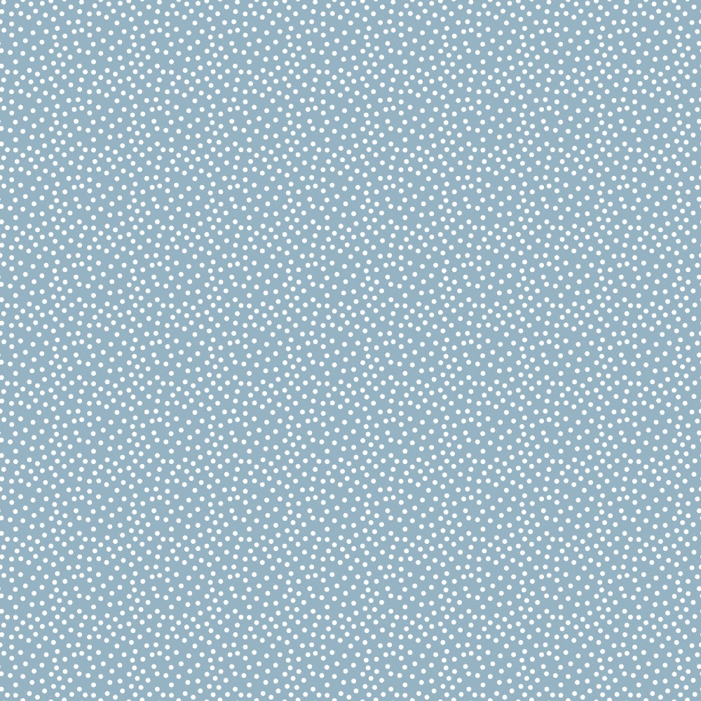 Light blue background with a pattern of evenly spaced small white dots.