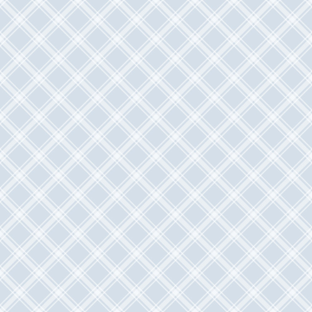 Light blue and white diagonal crisscross pattern on a plain background.