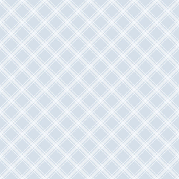 Light blue and white diagonal crisscross pattern on a plain background.