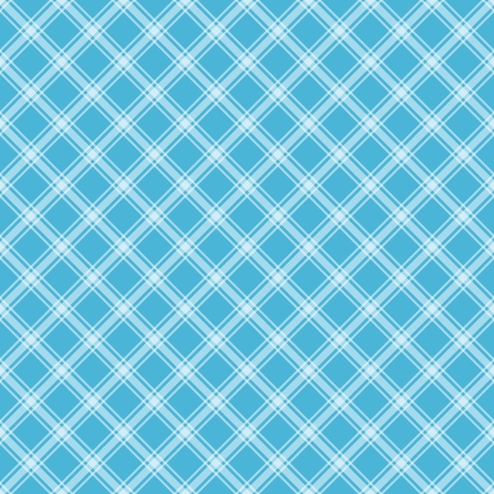 A blue and white crisscross plaid pattern with intersecting diagonal lines forming diamond shapes.