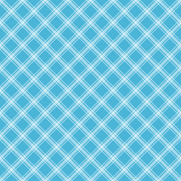 A blue and white crisscross plaid pattern with intersecting diagonal lines forming diamond shapes.