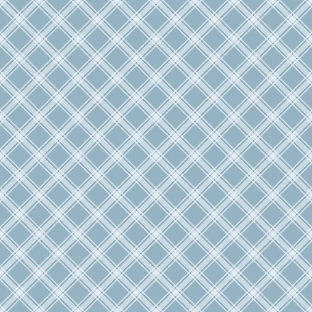 Light blue and white crisscrossing plaid pattern with diagonal lines forming diamond shapes.