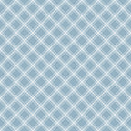 Light blue and white crisscrossing plaid pattern with diagonal lines forming diamond shapes.